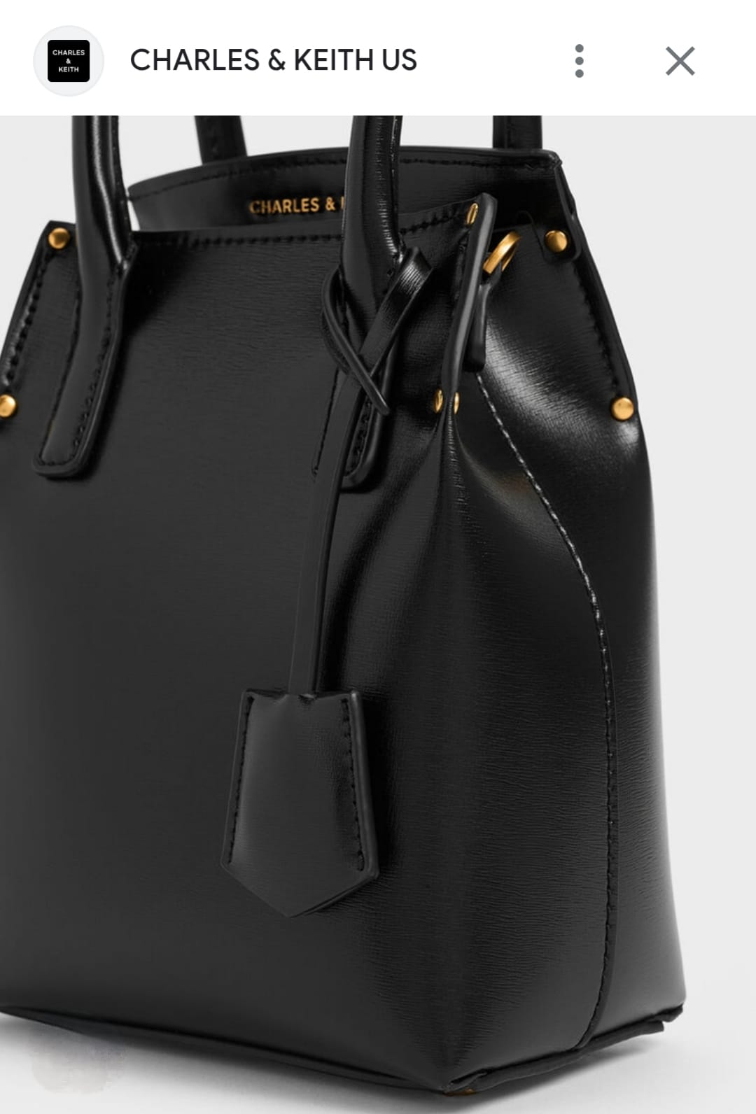 CHARLES & KEITH RENE ELONGATED TOP HANDLE BAGS