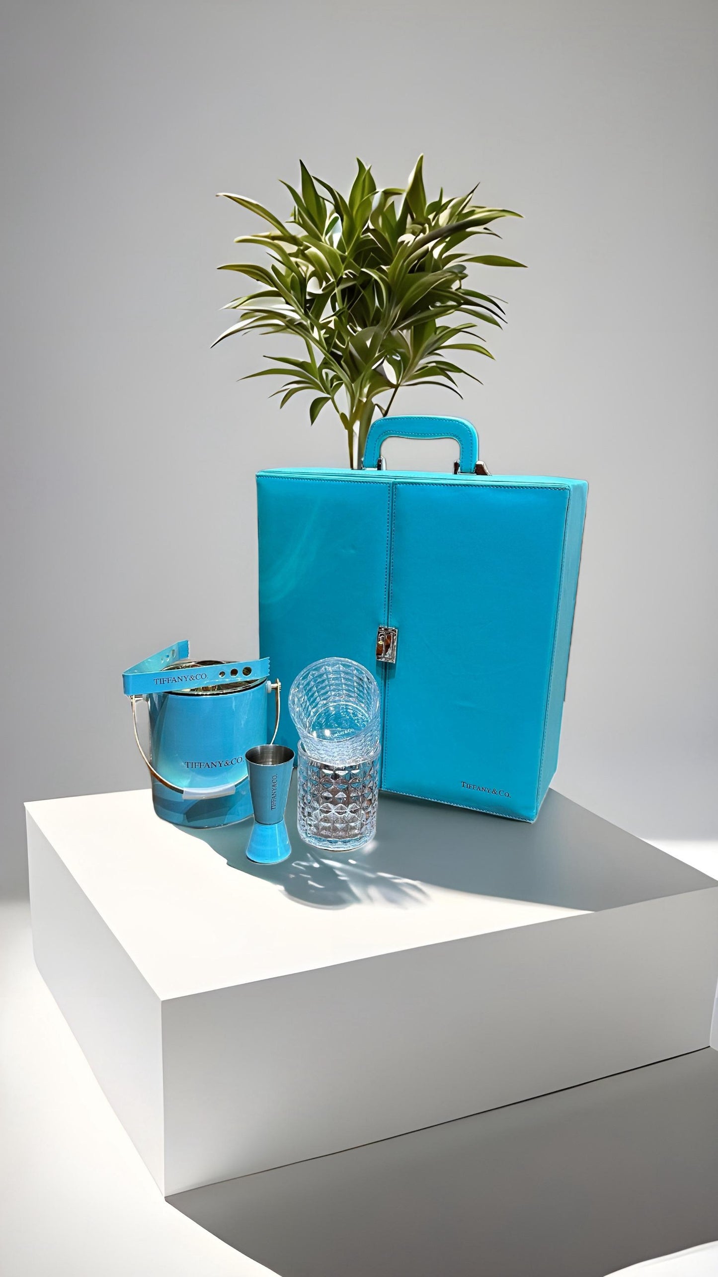 Tiffany Bar Set – Almirah Style Case