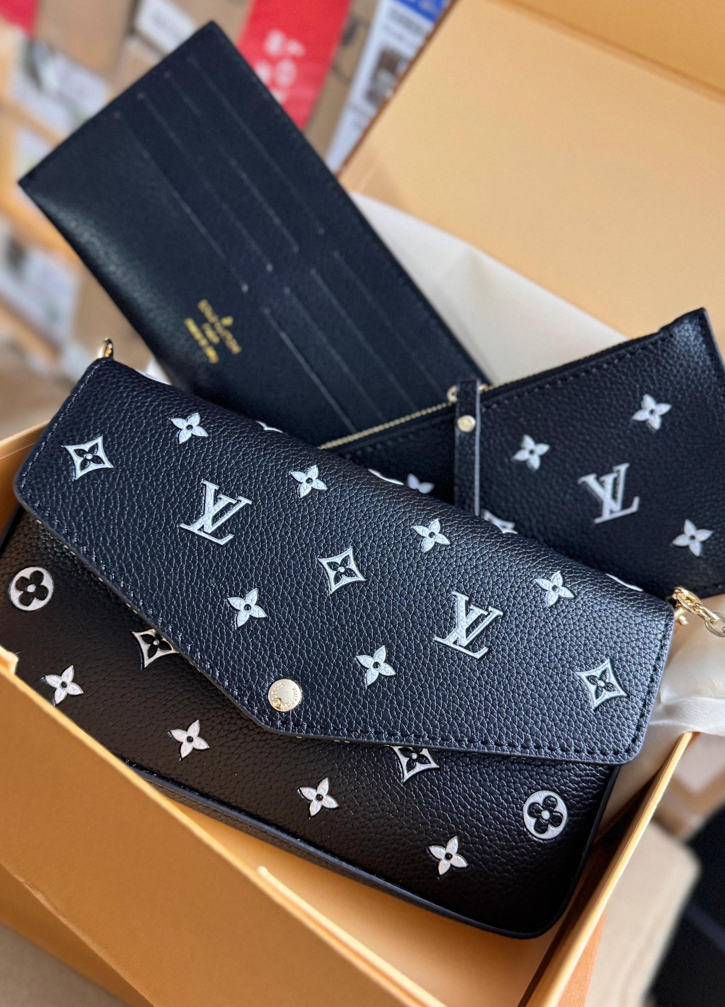 Louis Vuitton Emboss Latest Felicie Series