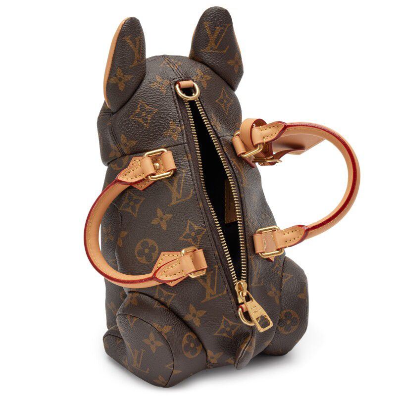 Louis Vuitton Dog Pooch Bag