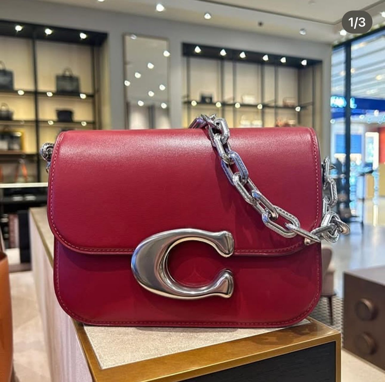 Coach Idol Bag