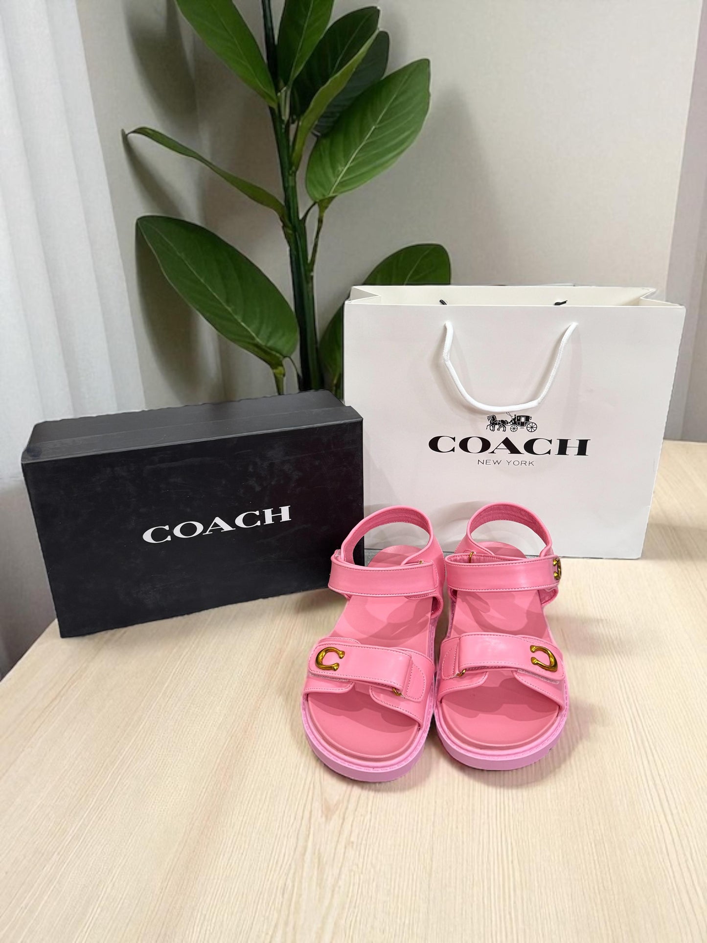 COACH WOMEN'S SANDALSP>=