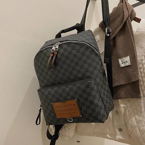 LOUIS VUITTON BACKPAC