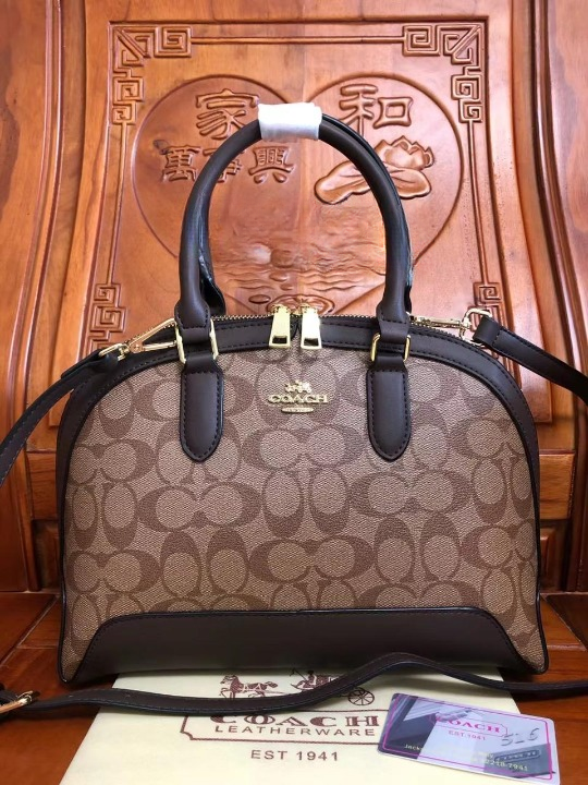 Coach Signature Bag