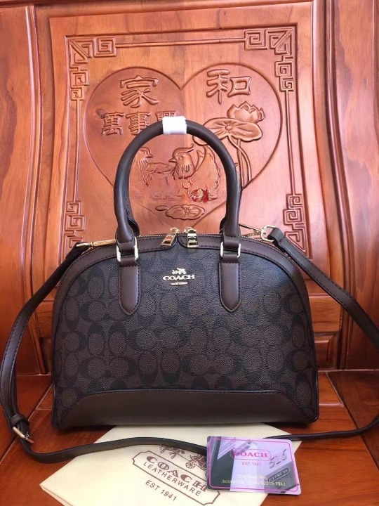 Coach Signature Bag