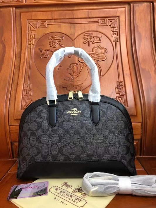 Coach Signature Bag