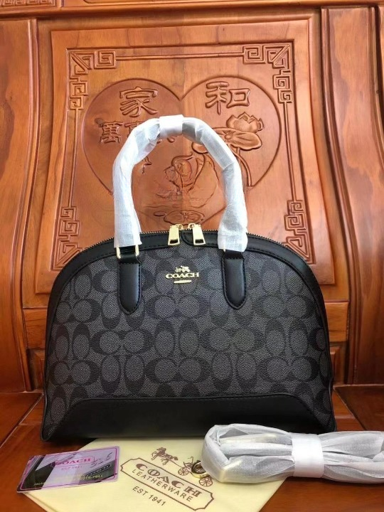 Coach Signature Bag