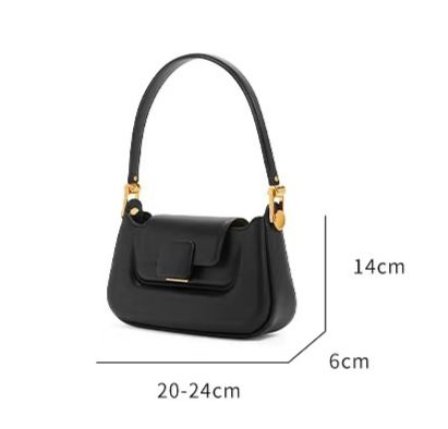 Charles & Keith Koa Push Lock Shoulder Bag