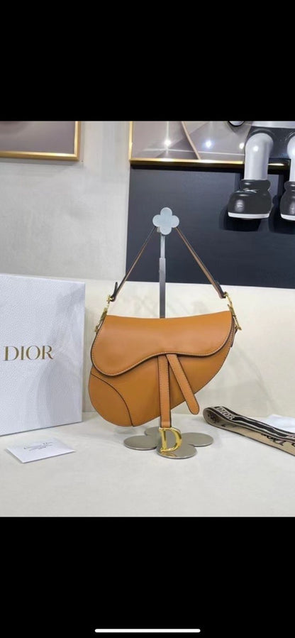 Dior Saddle Series Bags