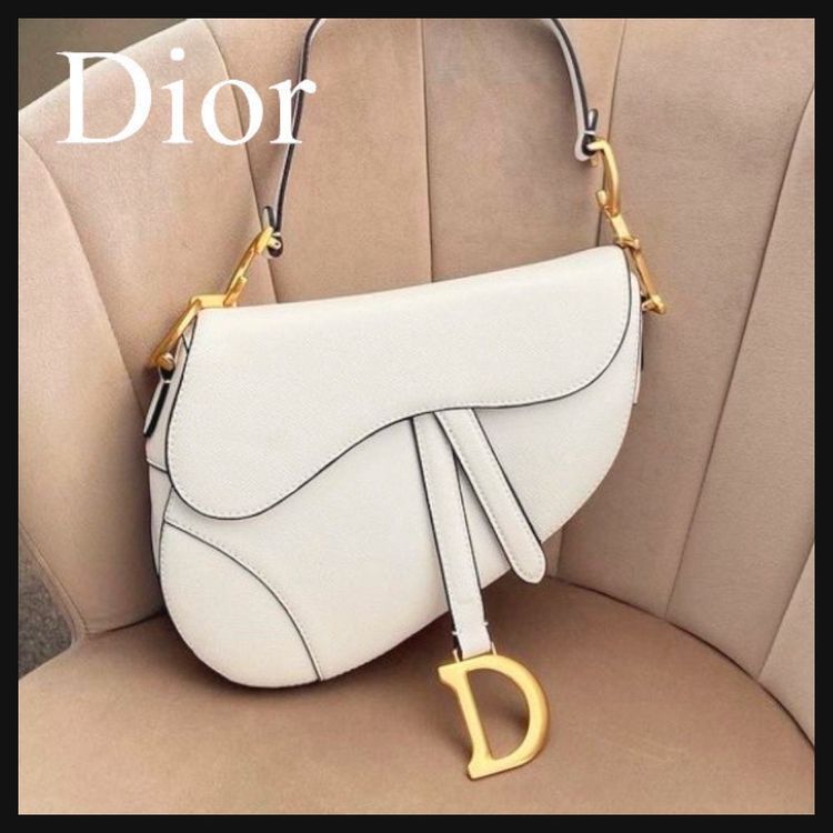 Dior Saddle Series Bags