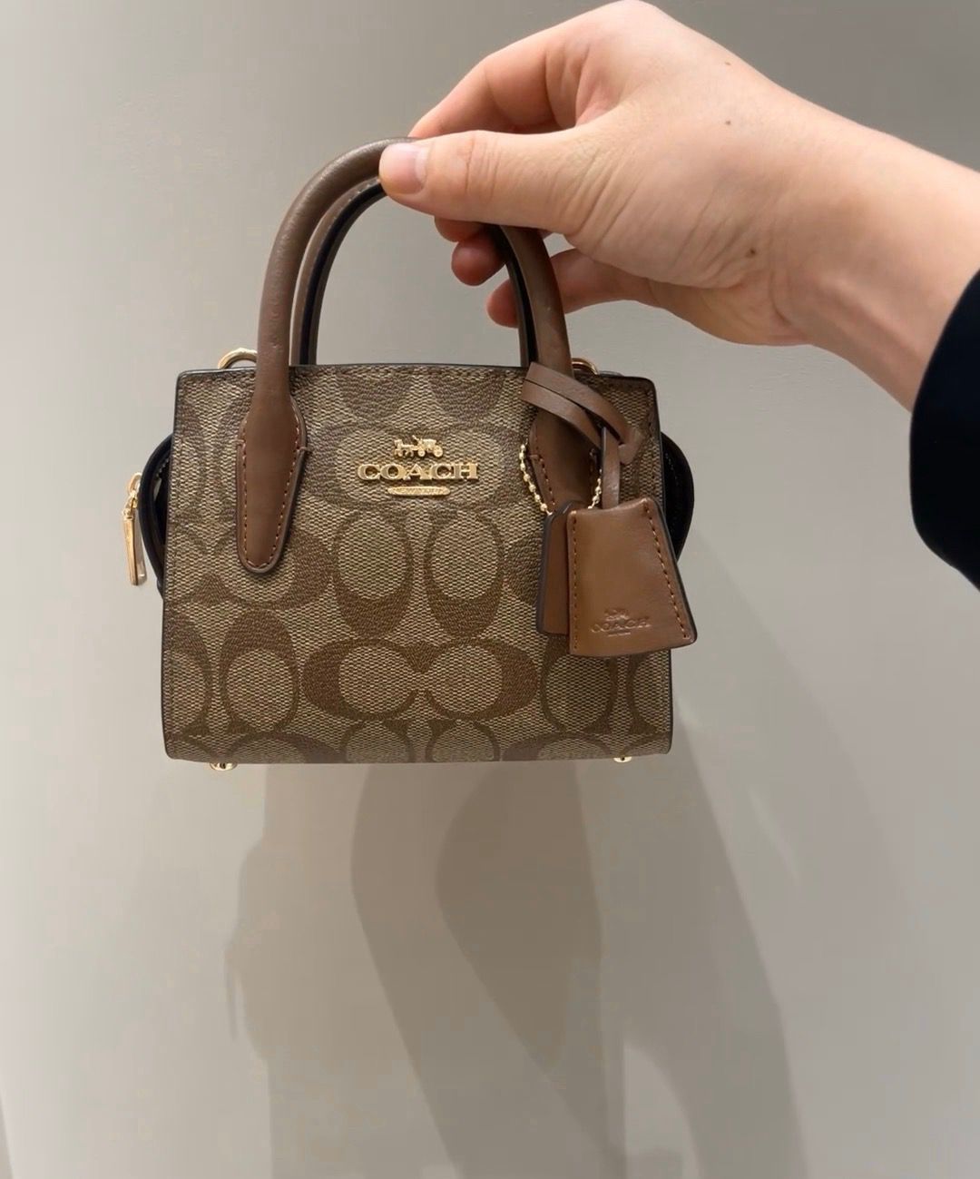 COACH ANDREA MINI CARRYALL