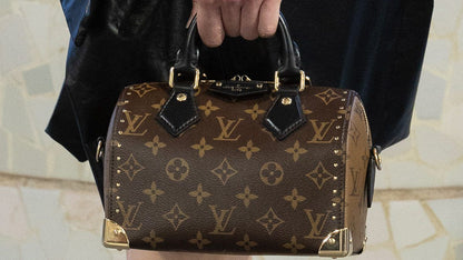 LOUIS VUITTON CRUISE SPEEDY BAG