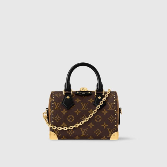 LOUIS VUITTON CRUISE SPEEDY BAG