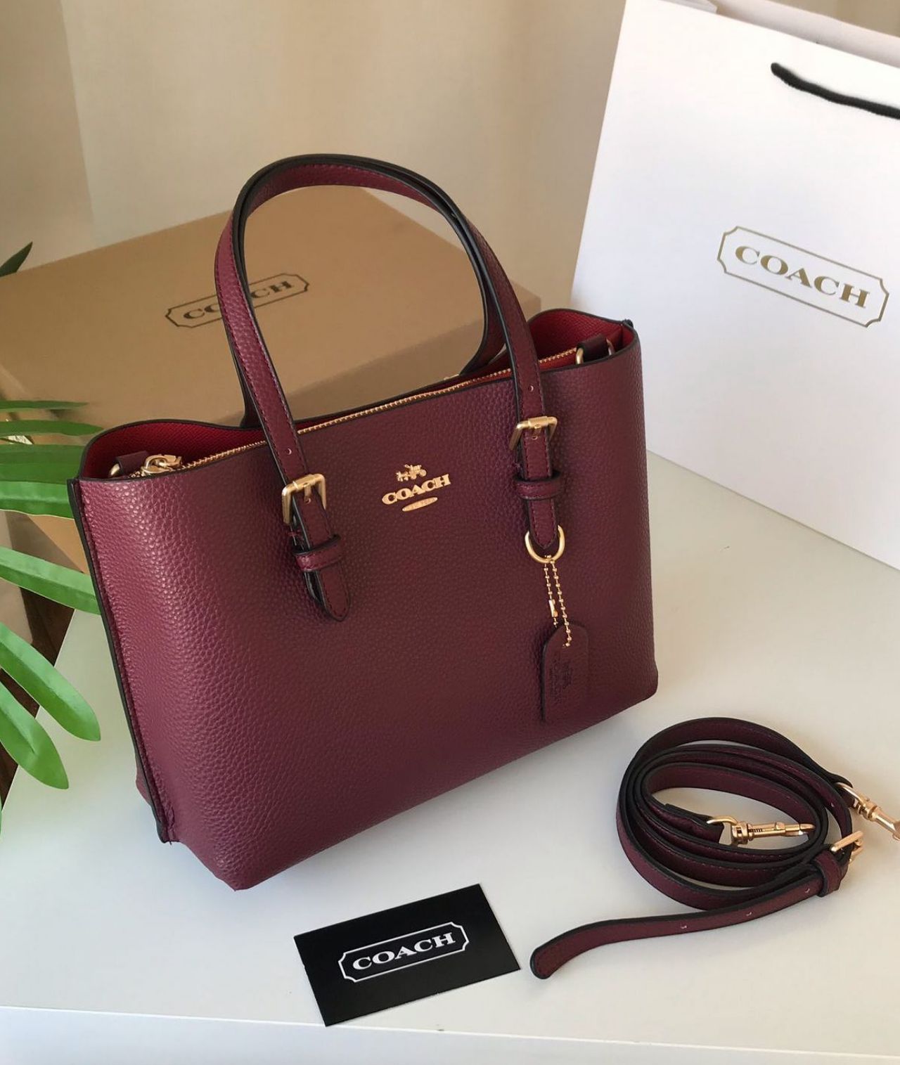 Coach Small Mollie Tote Solid Shades