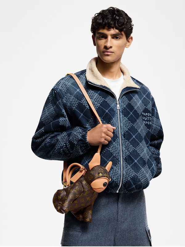 Louis Vuitton Dog Pooch Bag