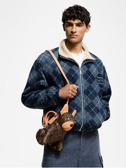 Louis Vuitton Dog Pooch Bag