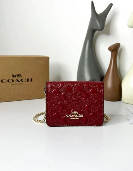 Coach Nano Authentic Slingers