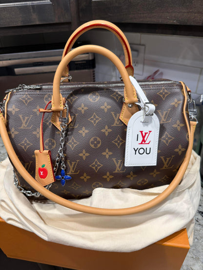 Louis Vuitton Speedy Monogram Bag