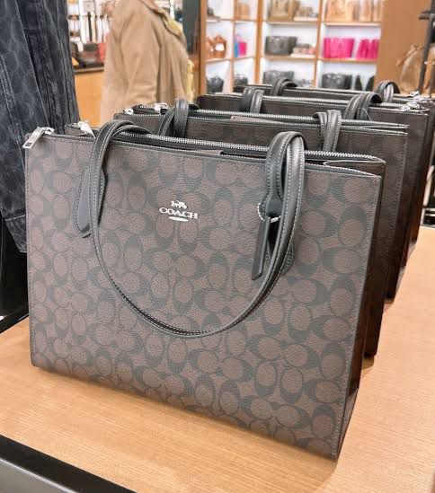 CO-A-CH NINA AUTHENTIC CARRYALL TOTE BAG